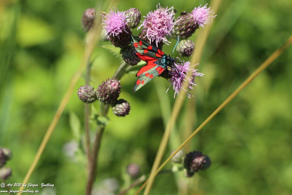 Philosophische Bildwanderung Vitaltour Eremitenpfad - Bretzenheim an der Nahe - Rheinhessen