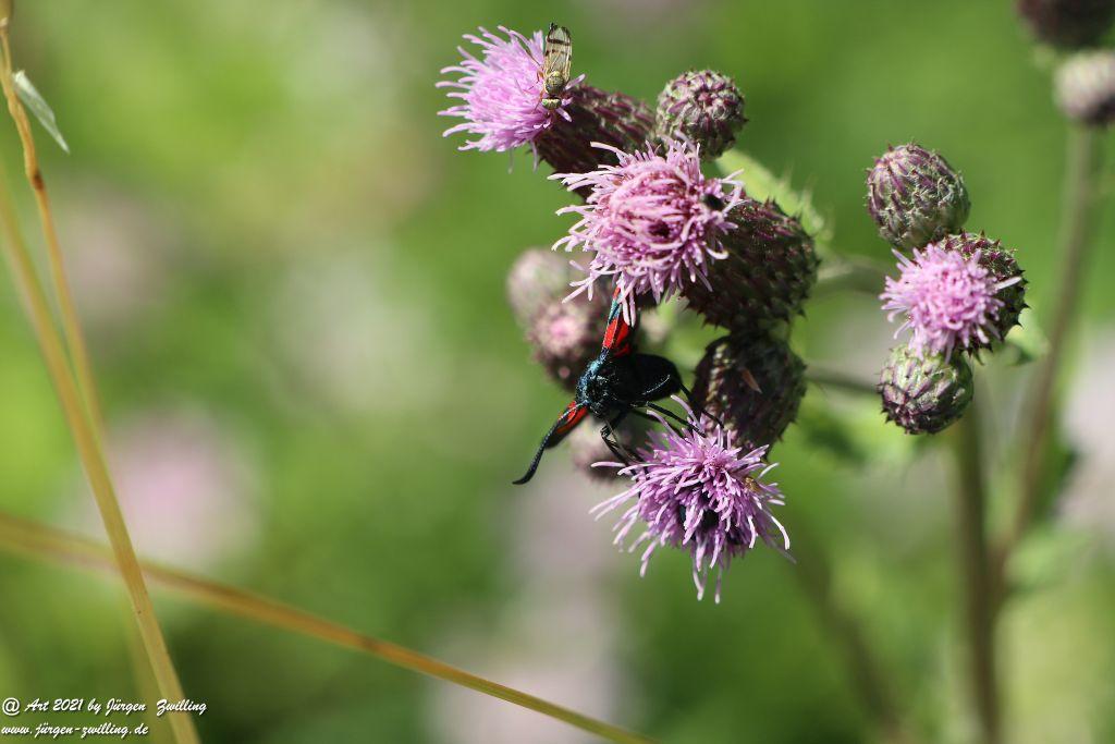 Philosophische Bildwanderung Vitaltour Eremitenpfad - Bretzenheim an der Nahe - Rheinhessen