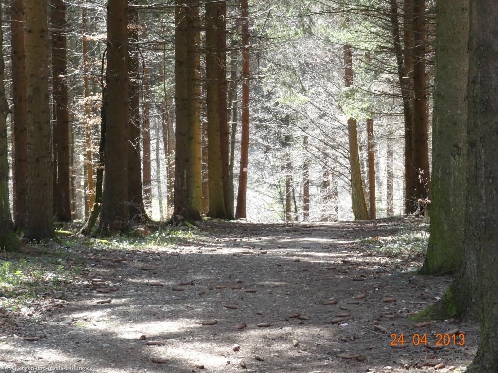 Philosophische Bildwanderung Traufgang-Schlossfelsenpfad