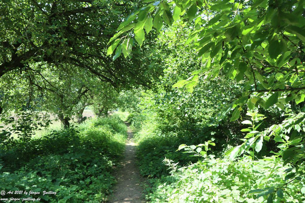 Philosophische Bildwanderung Vitaltour Eremitenpfad - Bretzenheim an der Nahe - Rheinhessen