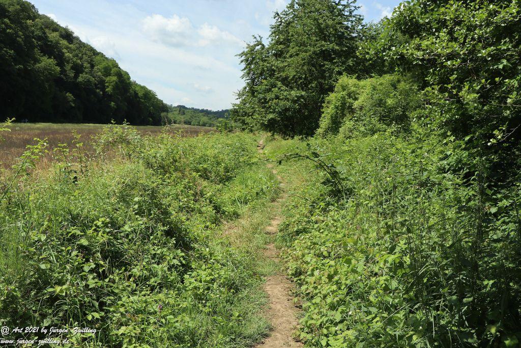 Philosophische Bildwanderung Vitaltour Eremitenpfad - Bretzenheim an der Nahe - Rheinhessen