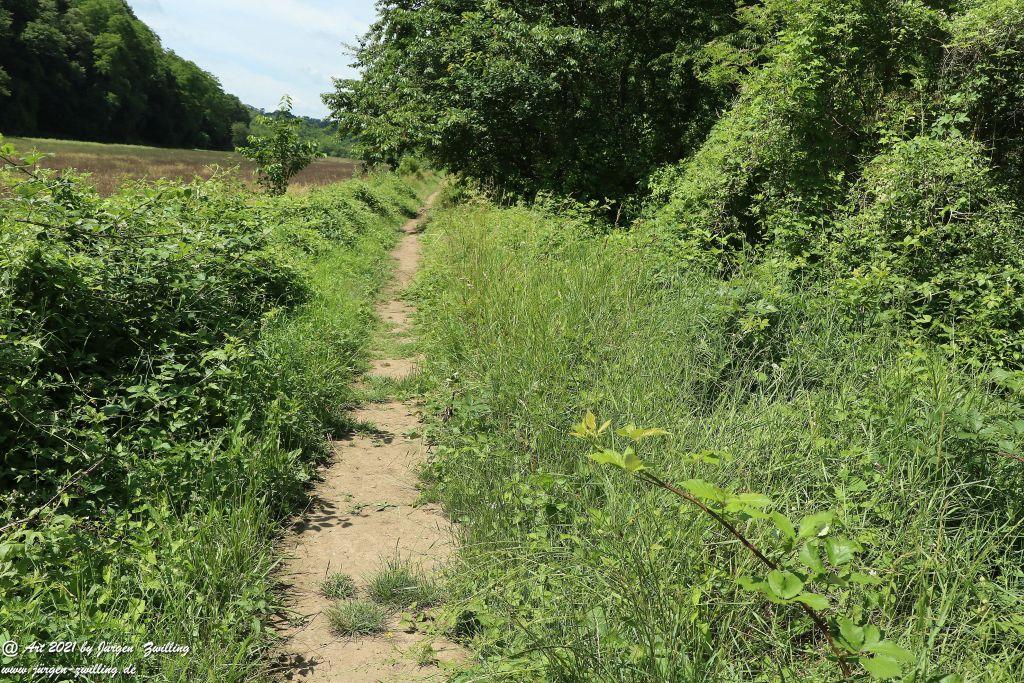 Philosophische Bildwanderung Vitaltour Eremitenpfad - Bretzenheim an der Nahe - Rheinhessen