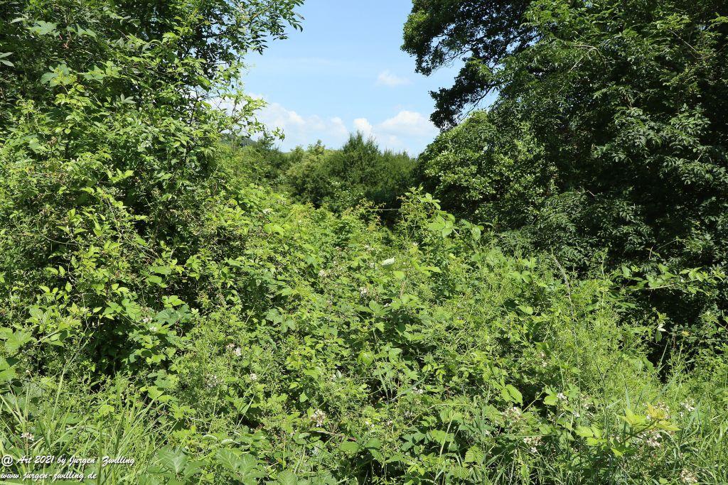 Philosophische Bildwanderung Vitaltour Eremitenpfad - Bretzenheim an der Nahe - Rheinhessen