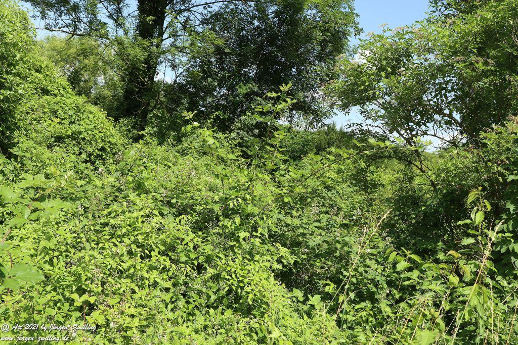 Philosophische Bildwanderung Vitaltour Eremitenpfad - Bretzenheim an der Nahe - Rheinhessen