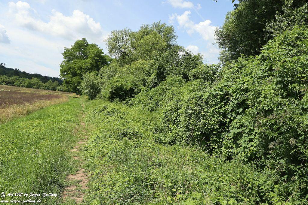 Philosophische Bildwanderung  Vitaltour Eremitenpfad - Bretzenheim an der Nahe - Rheinhessen