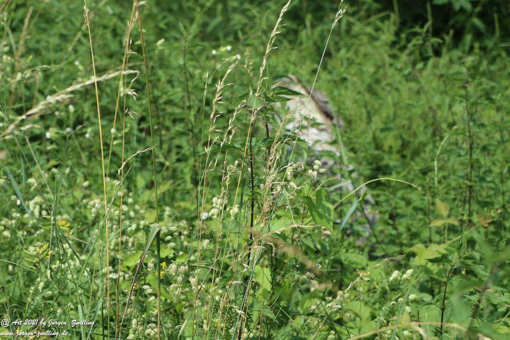 Philosophische Bildwanderung Vitaltour Eremitenpfad - Bretzenheim an der Nahe - Rheinhessen