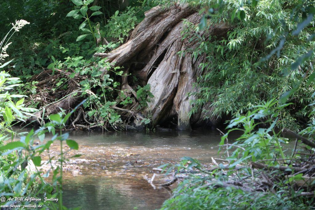 Philosophische Bildwanderung Vitaltour Eremitenpfad - Bretzenheim an der Nahe - Rheinhessen