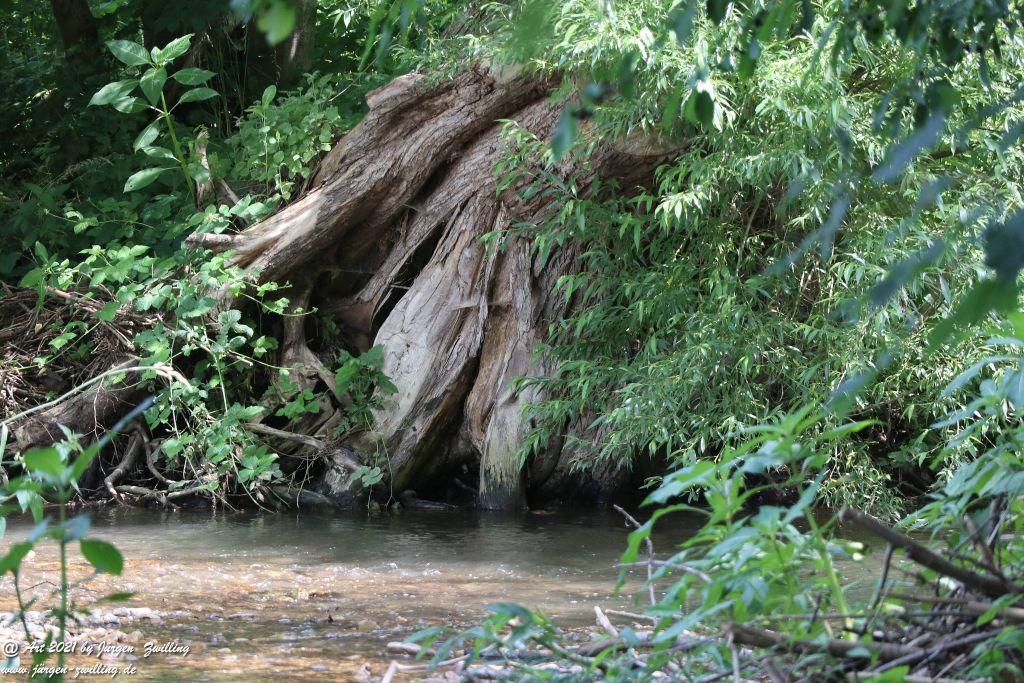 Philosophische Bildwanderung Vitaltour Eremitenpfad - Bretzenheim an der Nahe - Rheinhessen