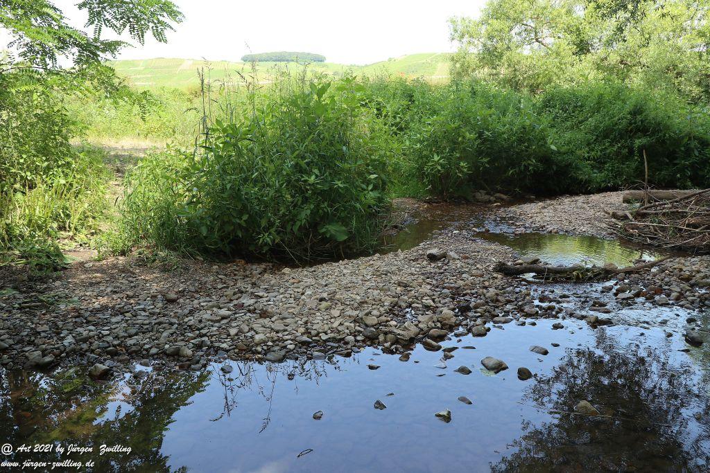 Philosophische Bildwanderung Vitaltour Eremitenpfad - Bretzenheim an der Nahe - Rheinhessen
