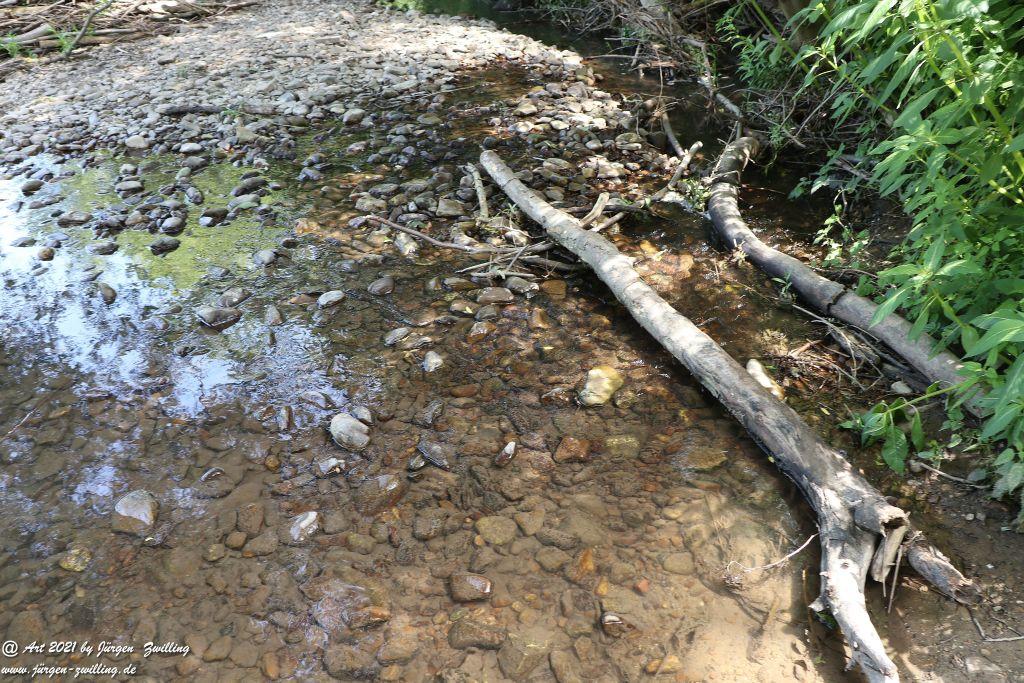 Philosophische Bildwanderung Vitaltour Eremitenpfad - Bretzenheim an der Nahe - Rheinhessen