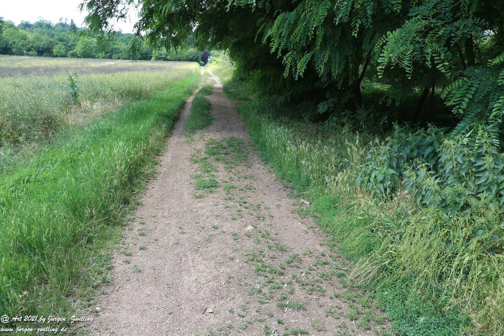 Philosophische Bildwanderung Vitaltour Eremitenpfad - Bretzenheim an der Nahe - Rheinhessen
