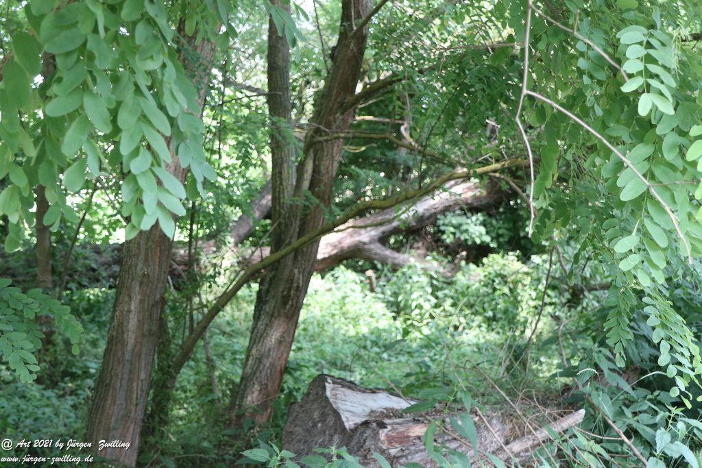 Philosophische Bildwanderung Vitaltour Eremitenpfad - Bretzenheim an der Nahe - Rheinhessen