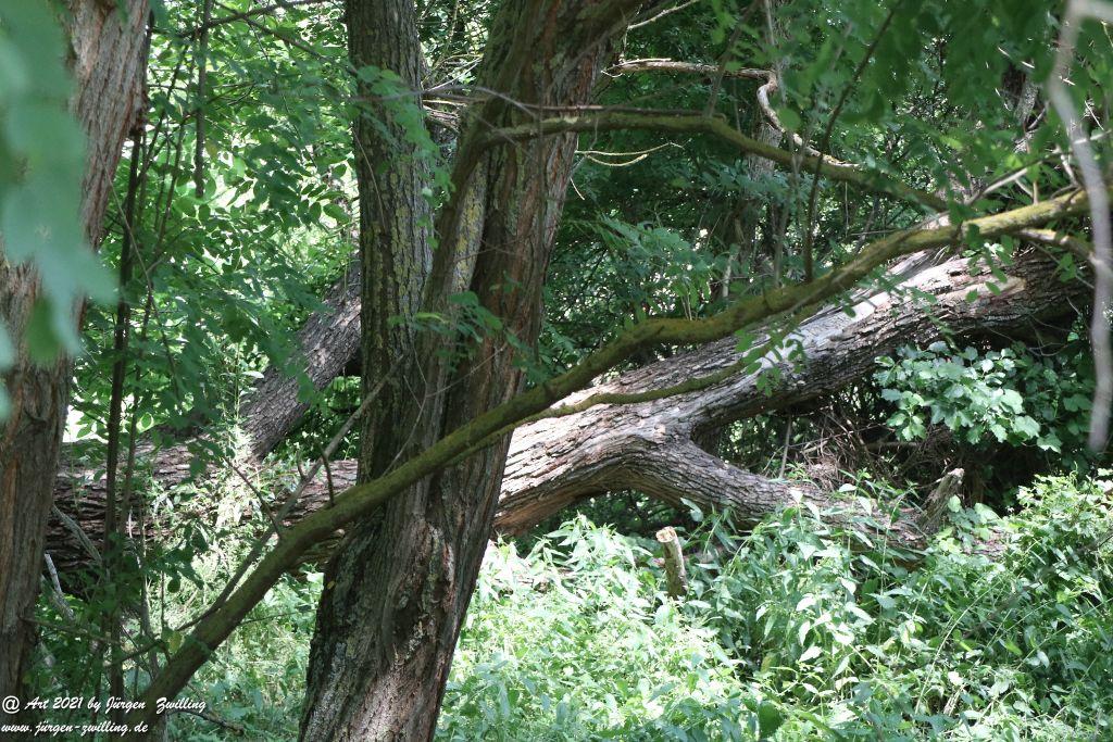Philosophische Bildwanderung Vitaltour Eremitenpfad - Bretzenheim an der Nahe - Rheinhessen