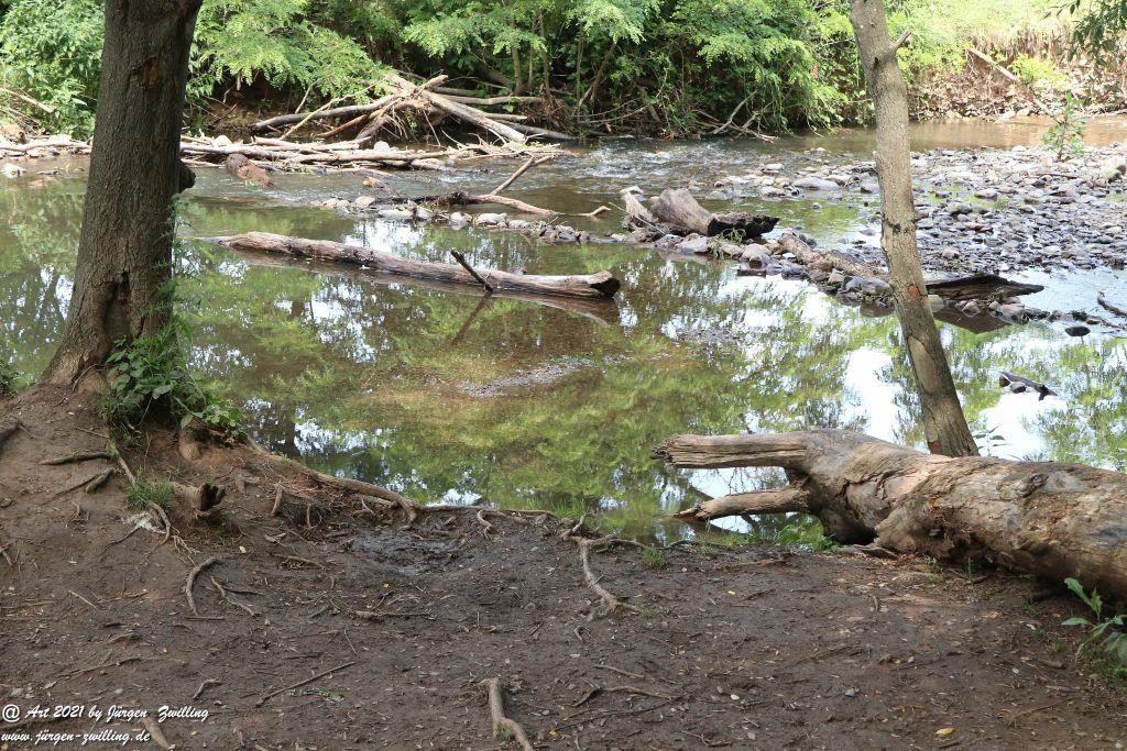 Philosophische Bildwanderung Vitaltour Eremitenpfad - Bretzenheim an der Nahe - Rheinhessen