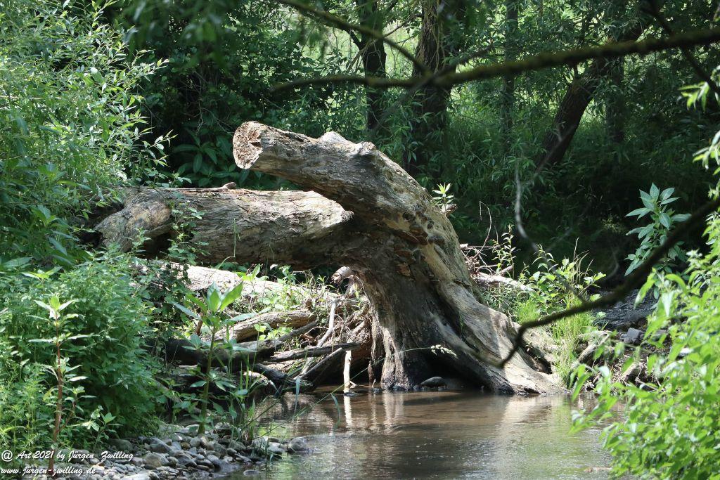 Philosophische Bildwanderung Vitaltour Eremitenpfad - Bretzenheim an der Nahe - Rheinhessen