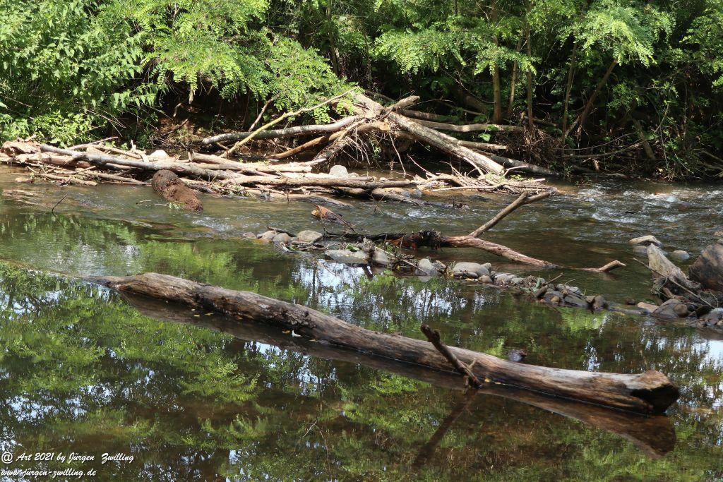 Philosophische Bildwanderung Vitaltour Eremitenpfad - Bretzenheim an der Nahe - Rheinhessen