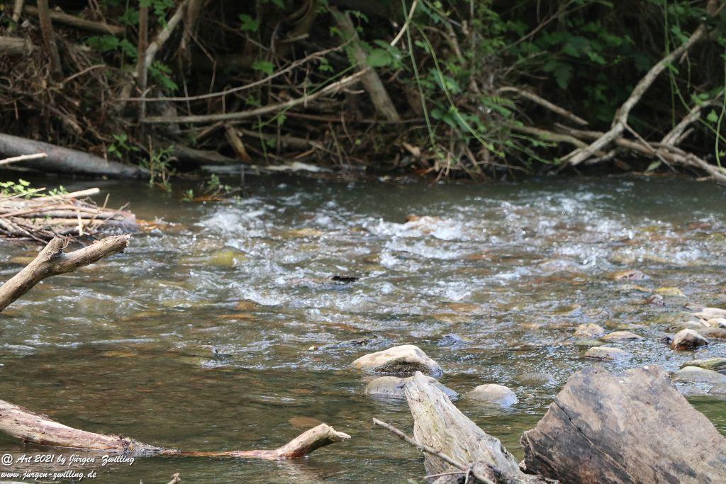 Philosophische Bildwanderung Vitaltour Eremitenpfad - Bretzenheim an der Nahe - Rheinhessen