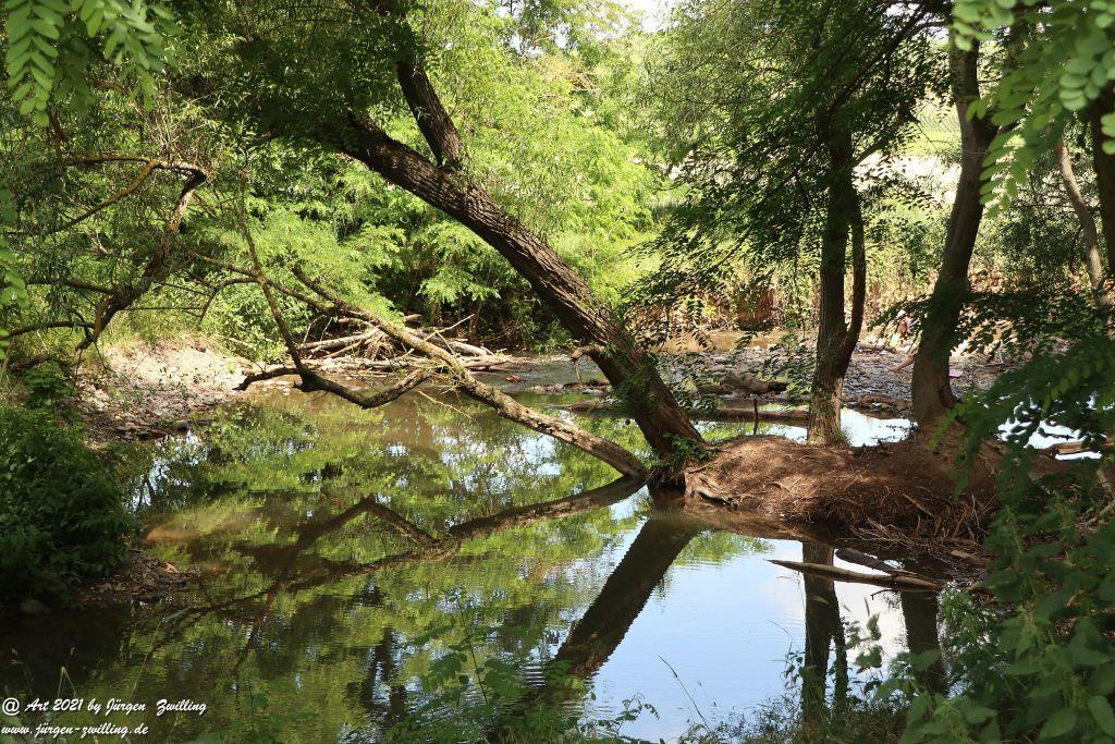 Philosophische Bildwanderung Vitaltour Eremitenpfad - Bretzenheim an der Nahe - Rheinhessen