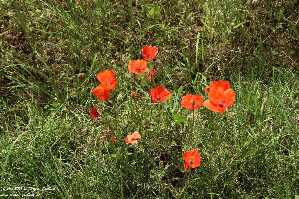 Philosophische Bildwanderung Vitaltour Eremitenpfad - Bretzenheim an der Nahe - Rheinhessen