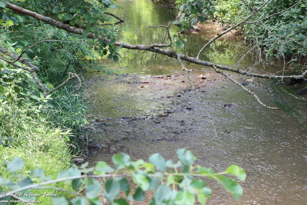 Philosophische Bildwanderung Vitaltour Eremitenpfad - Bretzenheim an der Nahe - Rheinhessen