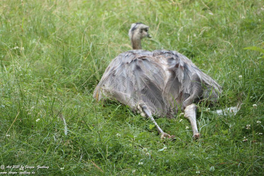 Philosophische Bildwanderung Vitaltour Eremitenpfad - Bretzenheim an der Nahe - Rheinhessen