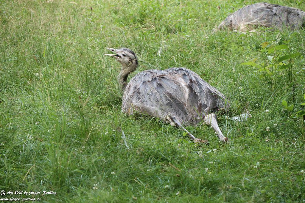 Philosophische Bildwanderung Vitaltour Eremitenpfad - Bretzenheim an der Nahe - Rheinhessen