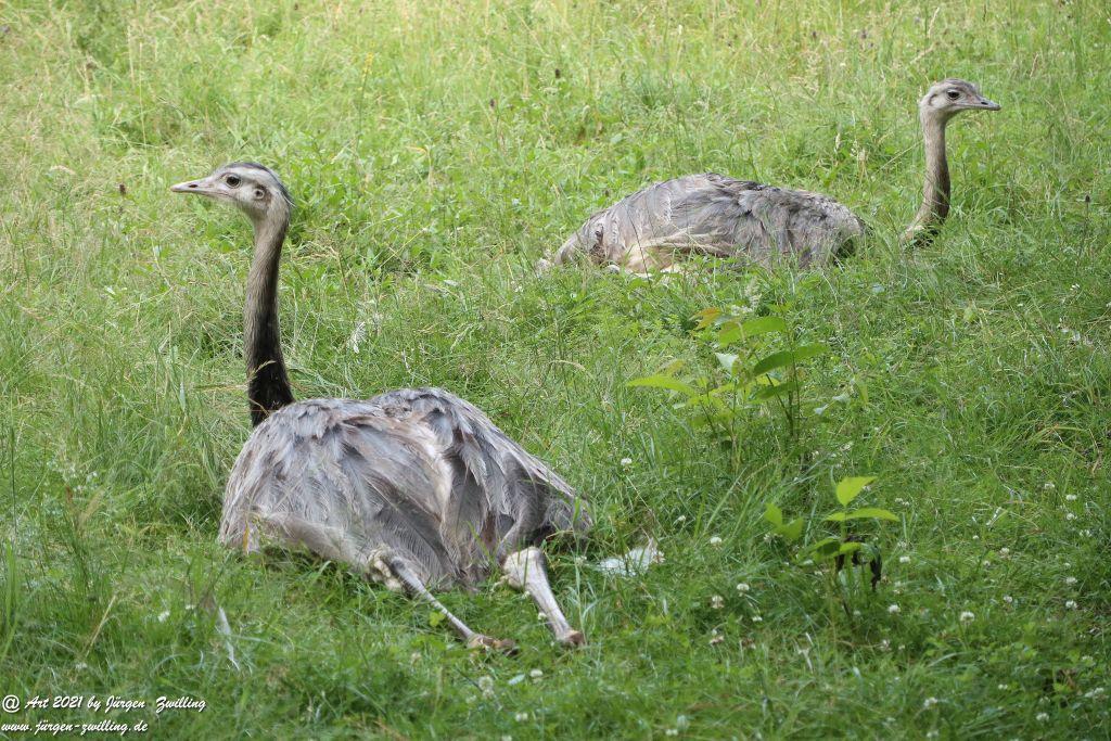 Philosophische Bildwanderung Vitaltour Eremitenpfad - Bretzenheim an der Nahe - Rheinhessen