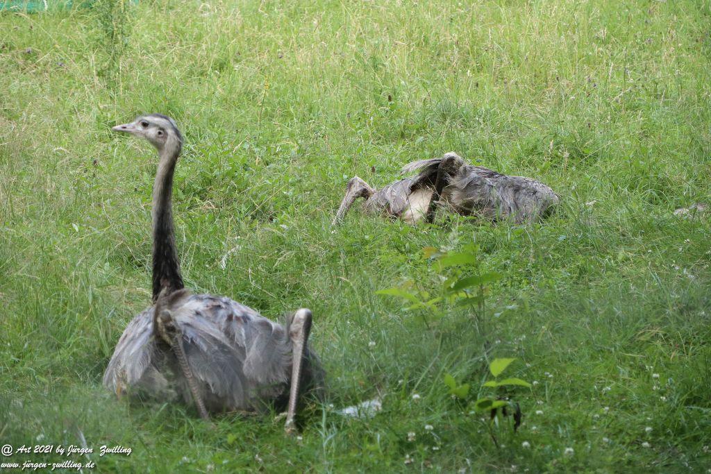 Philosophische Bildwanderung Vitaltour Eremitenpfad - Bretzenheim an der Nahe - Rheinhessen