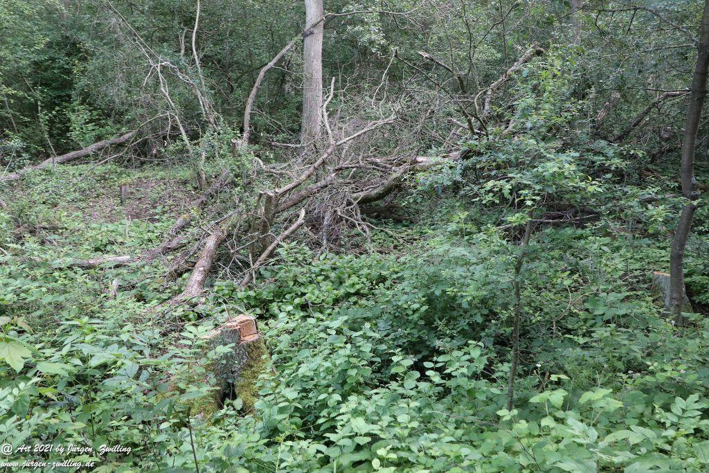 Philosophische Bildwanderung Vitaltour Eremitenpfad - Bretzenheim an der Nahe - Rheinhessen