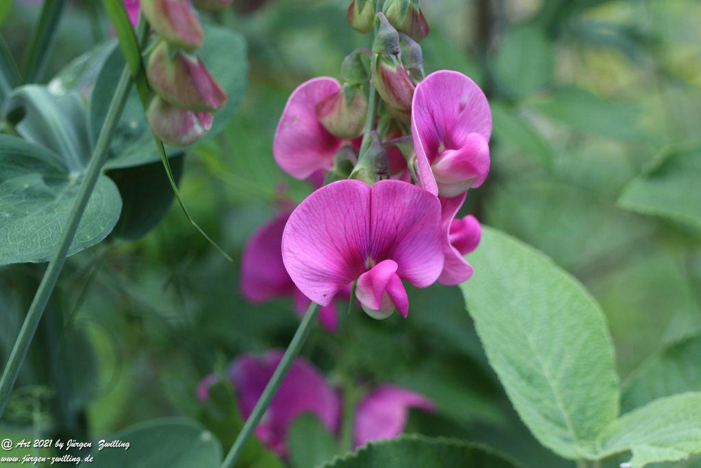 Philosophische Bildwanderung Vitaltour Eremitenpfad - Bretzenheim an der Nahe - Rheinhessen