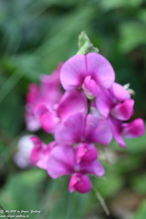 Philosophische Bildwanderung  Vitaltour Eremitenpfad - Bretzenheim an der Nahe - Rheinhessen
