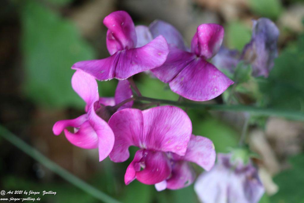 Philosophische Bildwanderung Vitaltour Eremitenpfad - Bretzenheim an der Nahe - Rheinhessen
