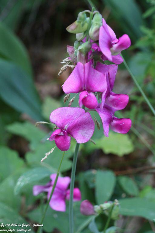 Philosophische Bildwanderung Vitaltour Eremitenpfad - Bretzenheim an der Nahe - Rheinhessen