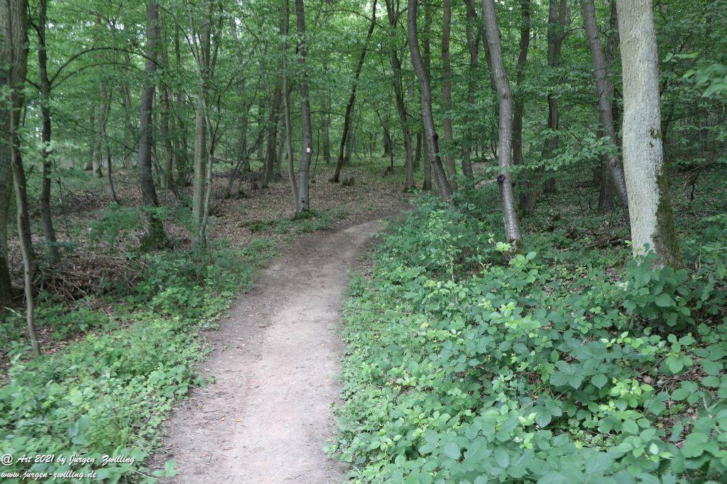 Philosophische Bildwanderung Vitaltour Eremitenpfad - Bretzenheim an der Nahe - Rheinhessen