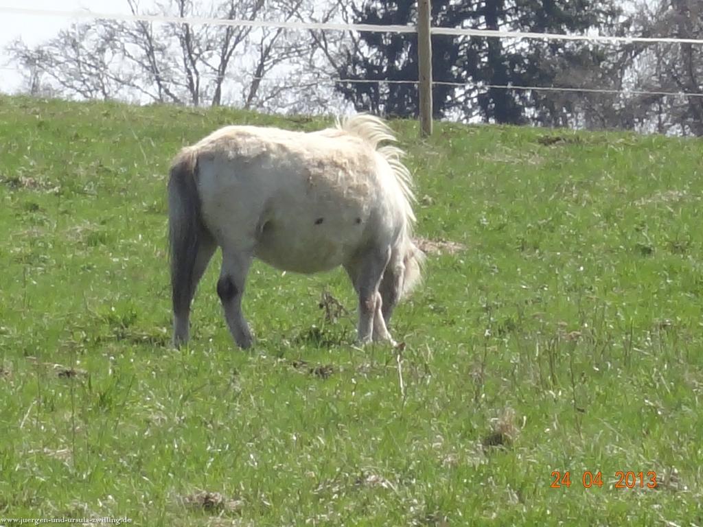 Philosophische Bildwanderung Traufgang-Schlossfelsenpfad