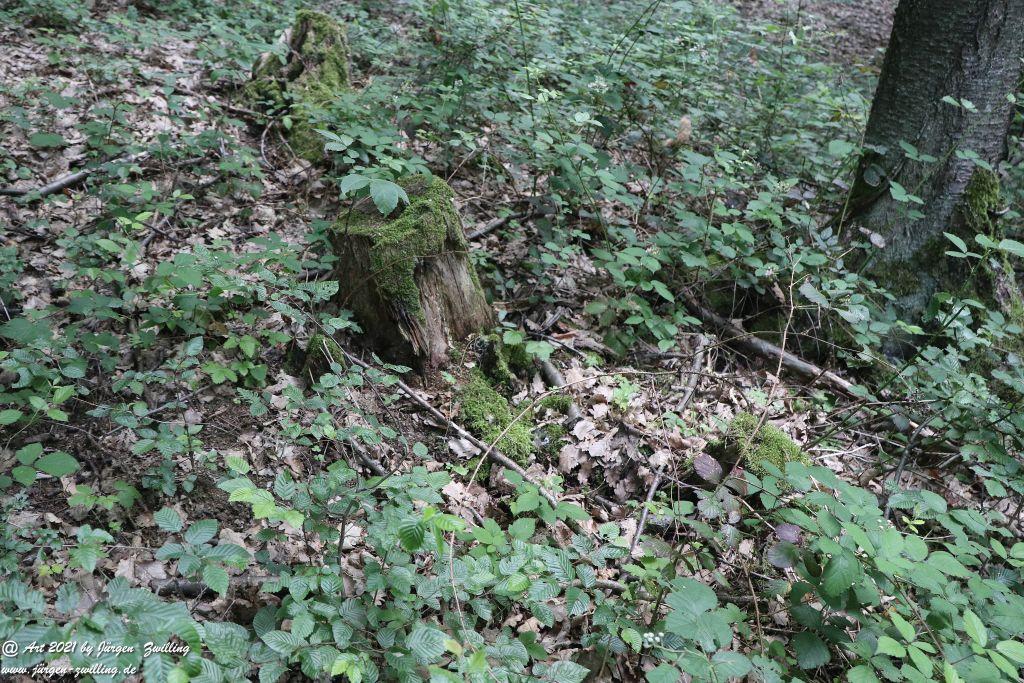 Philosophische Bildwanderung Vitaltour Eremitenpfad - Bretzenheim an der Nahe - Rheinhessen