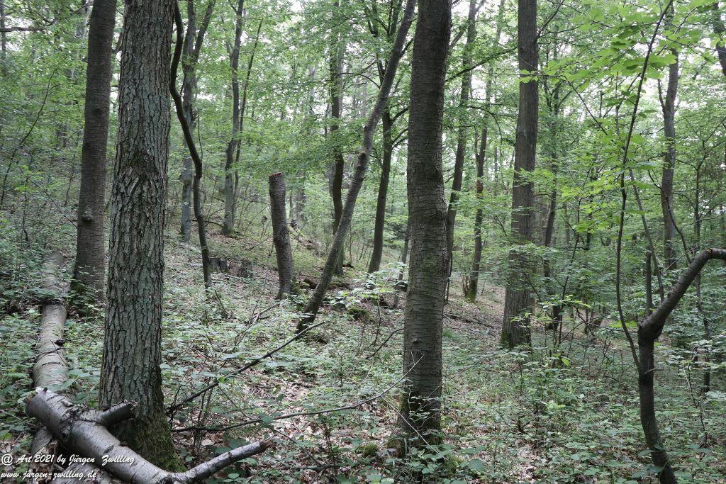 Philosophische Bildwanderung Vitaltour Eremitenpfad - Bretzenheim an der Nahe - Rheinhessen
