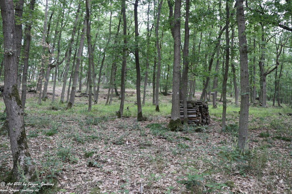 Philosophische Bildwanderung Vitaltour Eremitenpfad - Bretzenheim an der Nahe - Rheinhessen