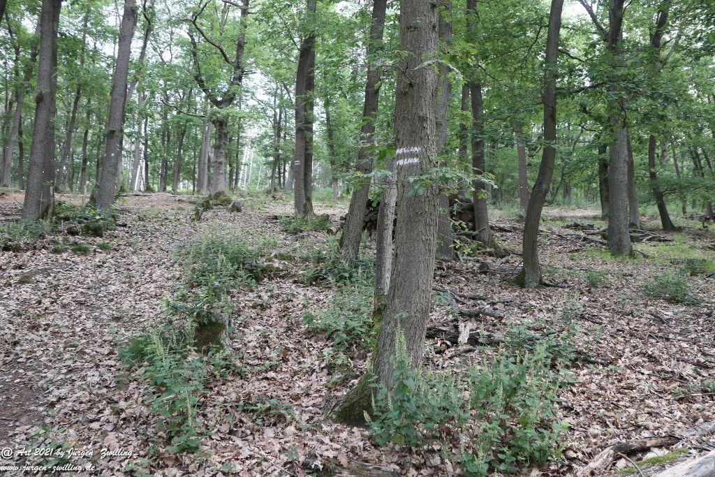 Philosophische Bildwanderung  Vitaltour Eremitenpfad - Bretzenheim an der Nahe - Rheinhessen