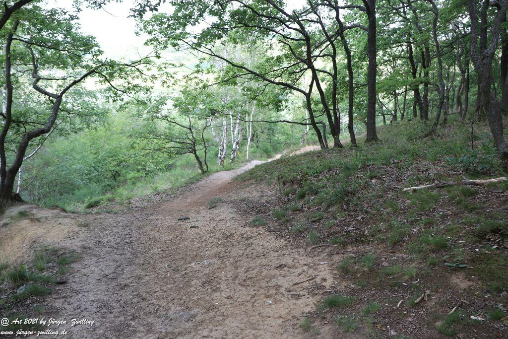 Philosophische Bildwanderung Vitaltour Eremitenpfad - Bretzenheim an der Nahe - Rheinhessen
