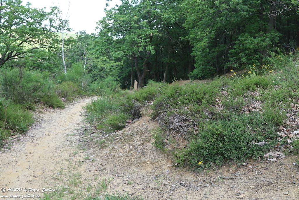 Philosophische Bildwanderung Vitaltour Eremitenpfad - Bretzenheim an der Nahe - Rheinhessen