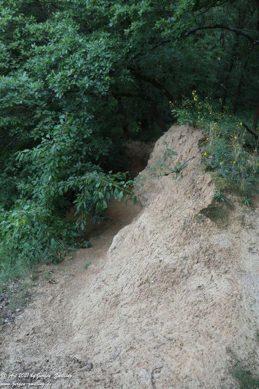 Philosophische Bildwanderung Vitaltour Eremitenpfad - Bretzenheim an der Nahe - Rheinhessen