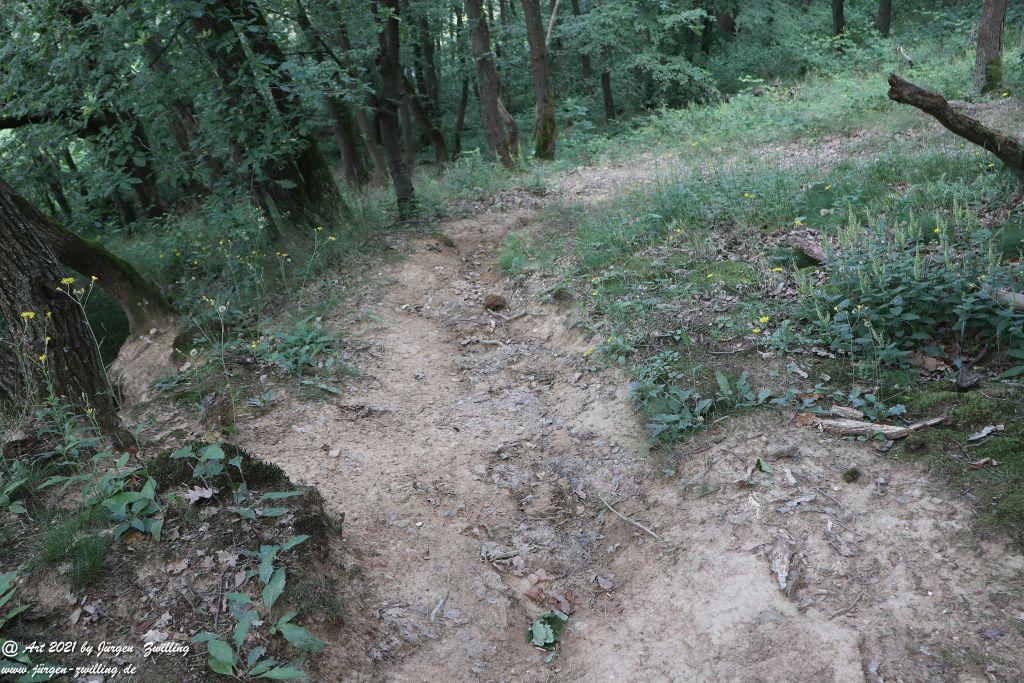 Philosophische Bildwanderung Vitaltour Eremitenpfad - Bretzenheim an der Nahe - Rheinhessen