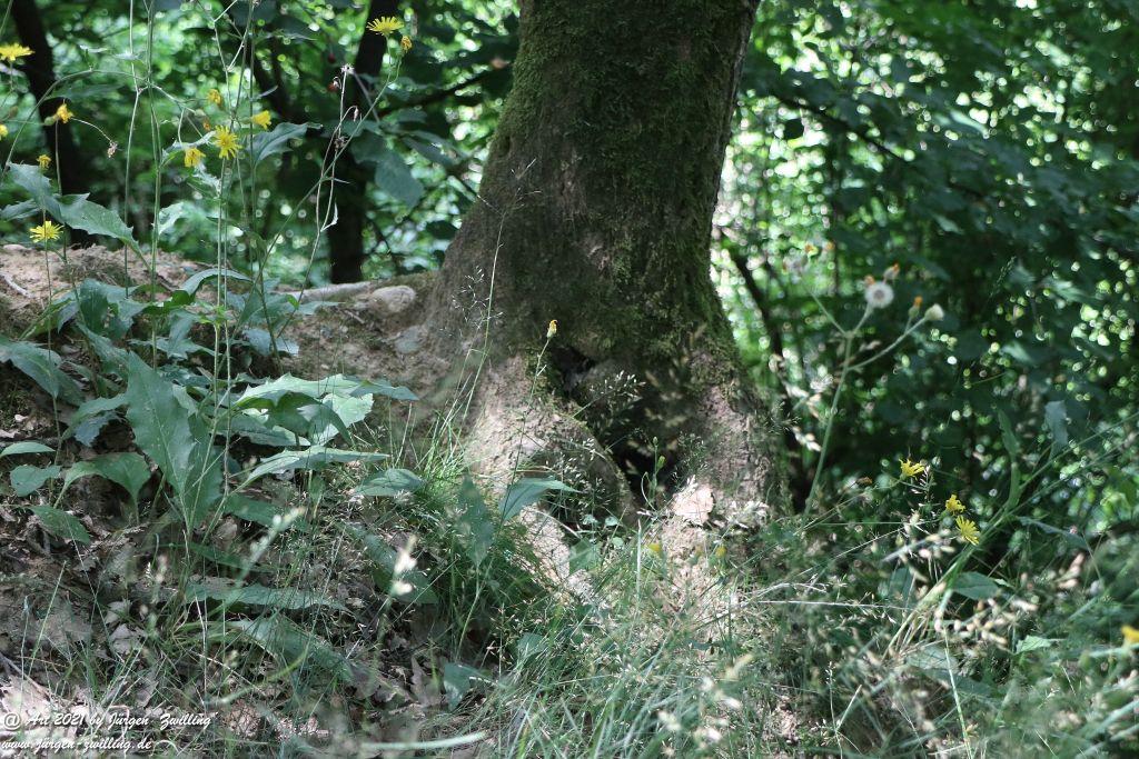 Philosophische Bildwanderung  Vitaltour Eremitenpfad - Bretzenheim an der Nahe - Rheinhessen