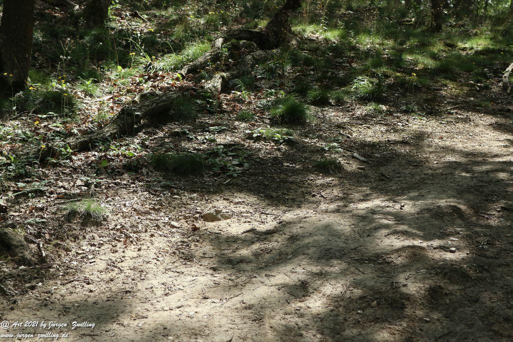 Philosophische Bildwanderung Vitaltour Eremitenpfad - Bretzenheim an der Nahe - Rheinhessen