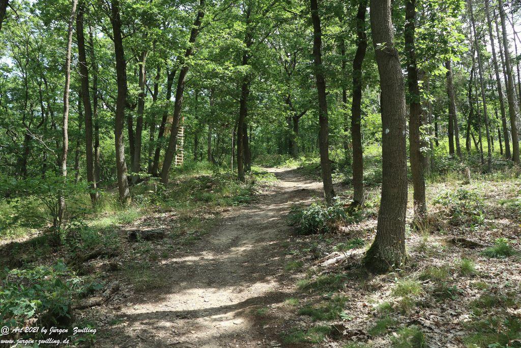 Philosophische Bildwanderung Vitaltour Eremitenpfad - Bretzenheim an der Nahe - Rheinhessen
