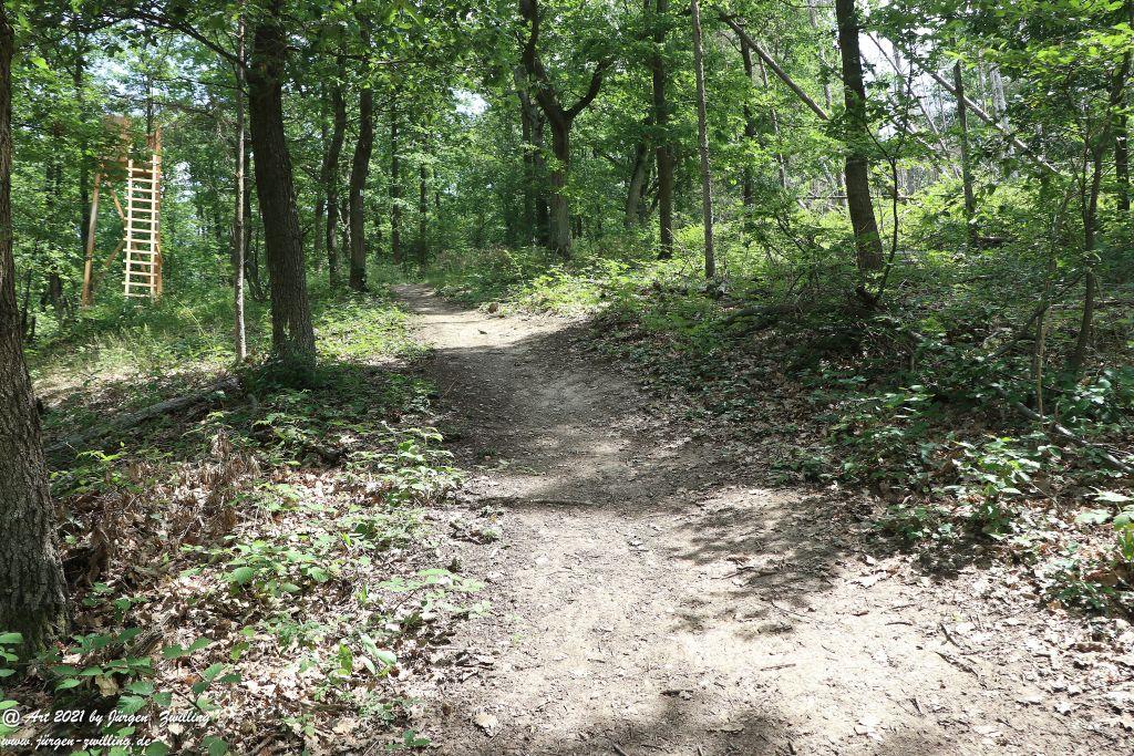 Philosophische Bildwanderung Vitaltour Eremitenpfad - Bretzenheim an der Nahe - Rheinhessen