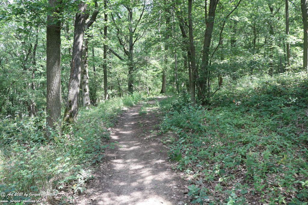 Philosophische Bildwanderung  Vitaltour Eremitenpfad - Bretzenheim an der Nahe - Rheinhessen