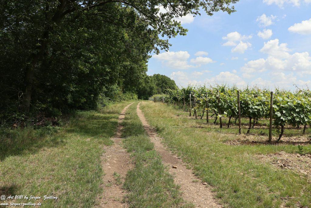 Philosophische Bildwanderung Vitaltour Eremitenpfad - Bretzenheim an der Nahe - Rheinhessen