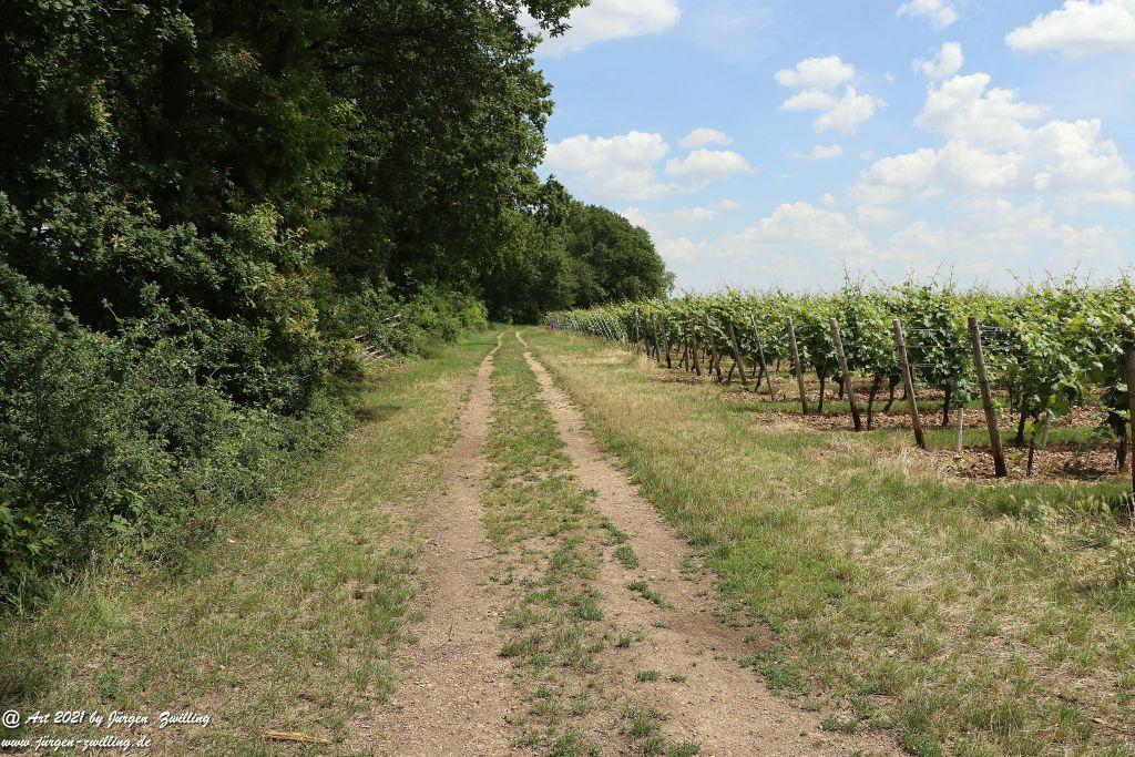 Philosophische Bildwanderung Vitaltour Eremitenpfad - Bretzenheim an der Nahe - Rheinhessen
